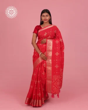 Chinon Royale – Designer Checked Saree